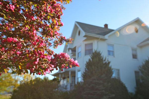 Twin Peaks B&B Mindemoya Экстерьер фото